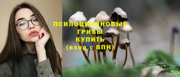 бошки Волоколамск