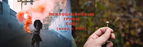 крисы Верхнеуральск
