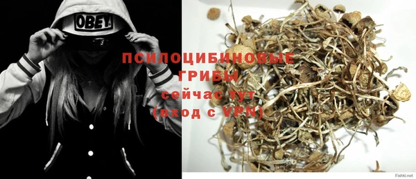 mdpv Верея