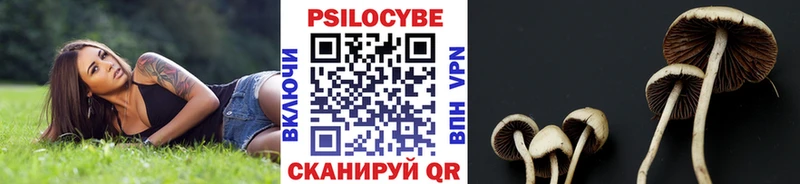 KRAKEN маркетплейс  Каменногорск  Галлюциногенные грибы мухоморы 